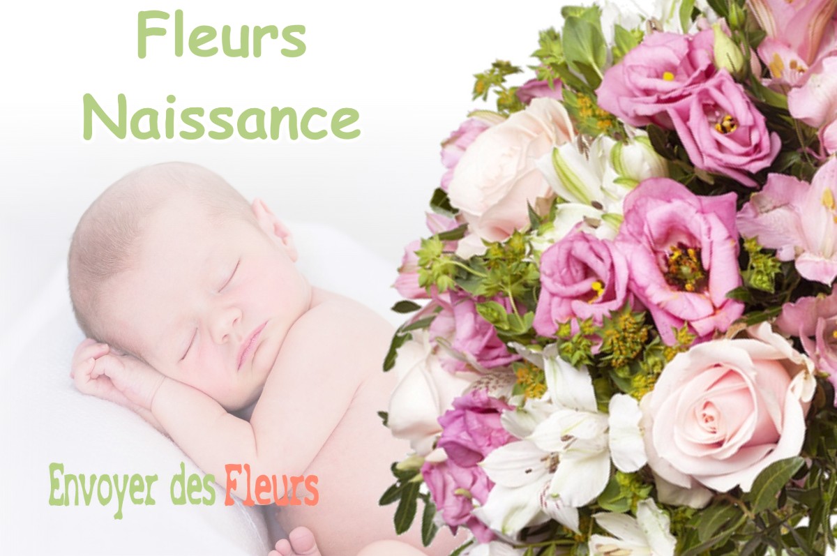 lIVRAISON FLEURS NAISSANCE à SEDEILHAC